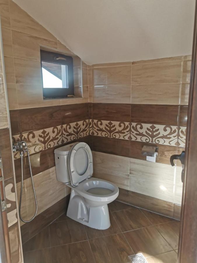ергини Апартамент Добринище